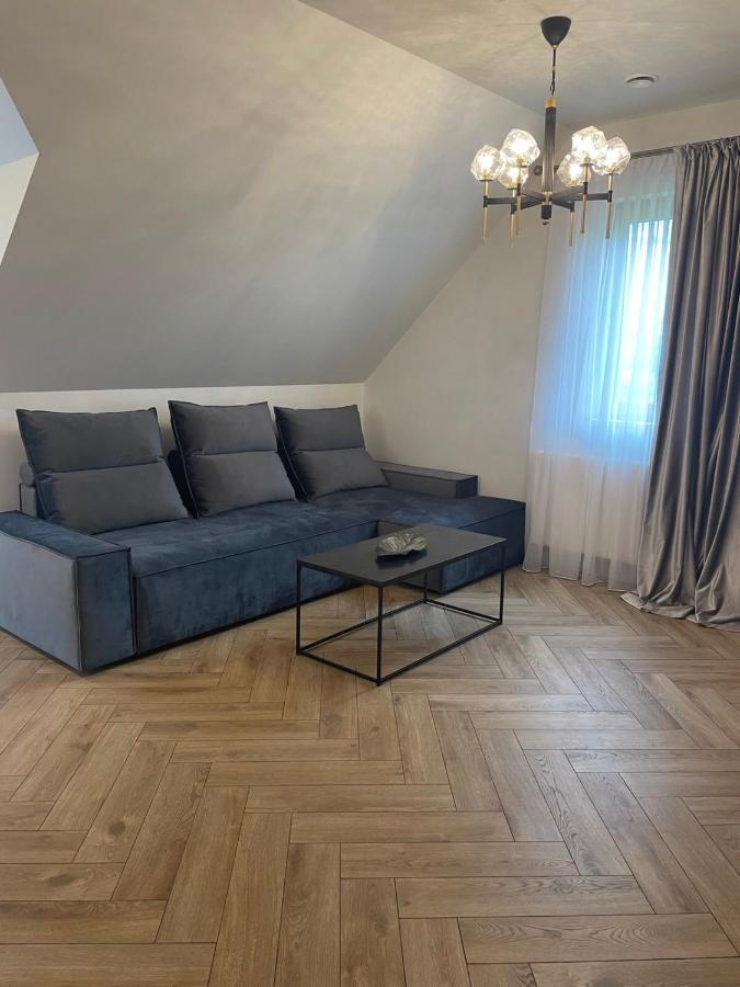 Mazoji Vila Birštonas Kültér fotó